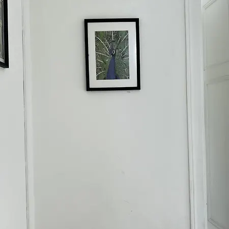 Homestay Conde Do Redondo Lisbon